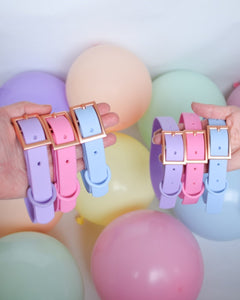 Colourful Pastel Waterproof Dog Collars 