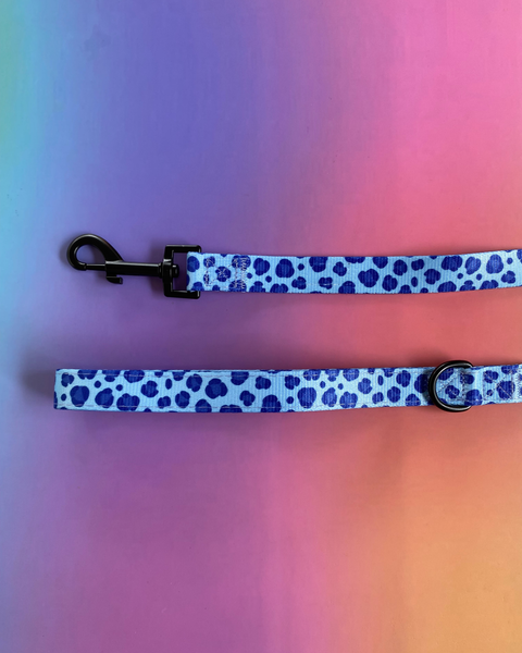 Wild Things: Dog Leash