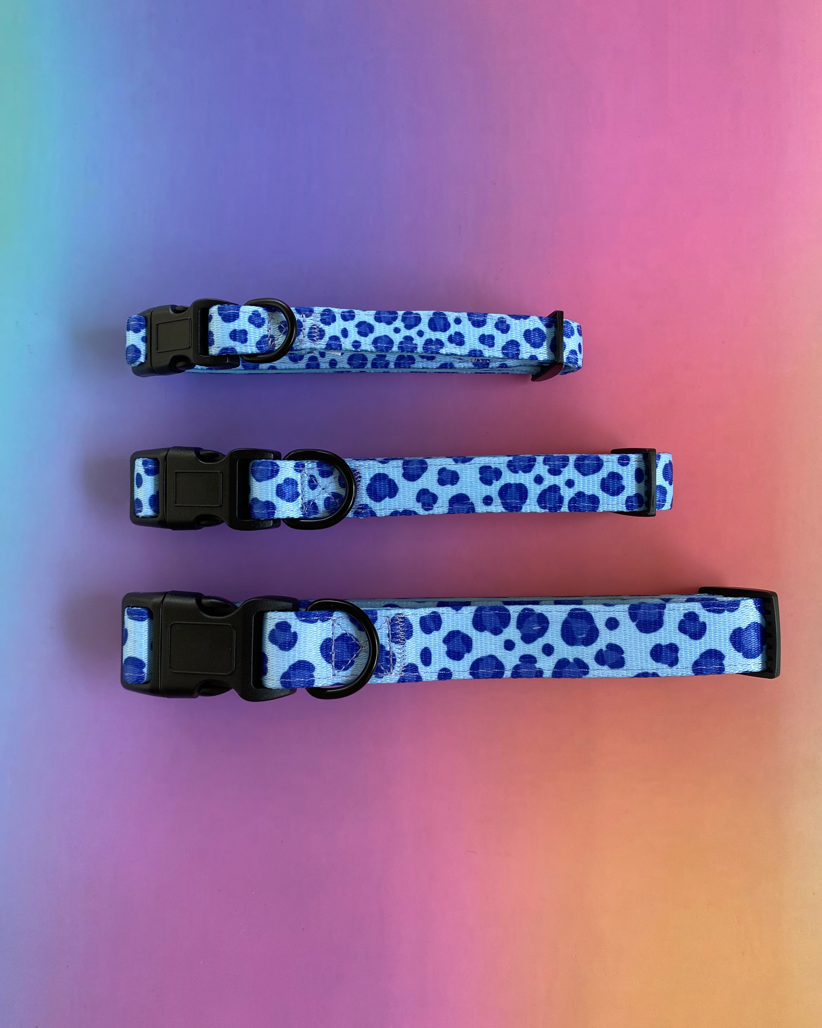 Wild Things: Dog Collar