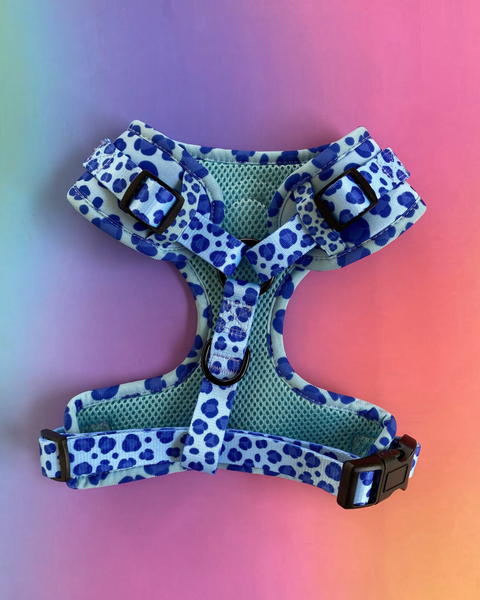 Wild Things: Adjustable Dog Harness