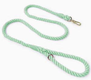Mint Green Rope Dog Leash