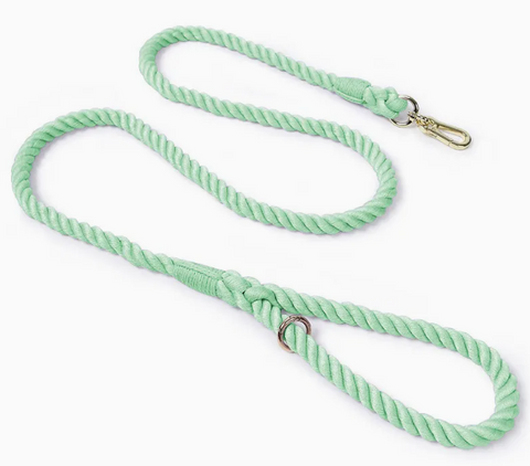Mint Green Rope Dog Leash