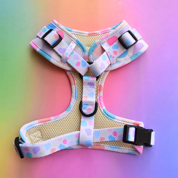 A pastel-colored dog harness with a pink, blue, and purple polka dot pattern on a mesh base, laid flat on a colorful gradient background.