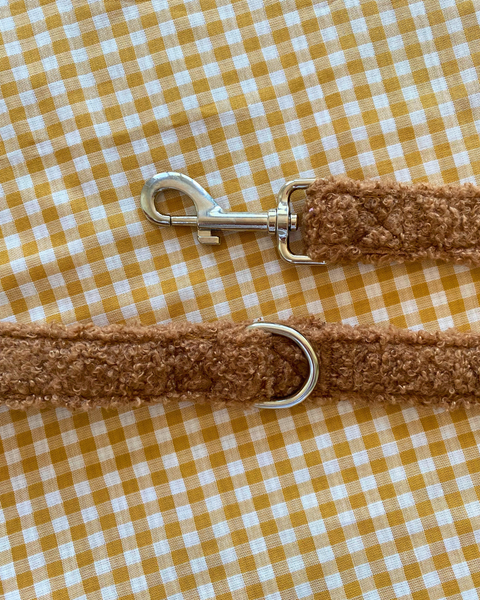 Teddy: Dog Leash
