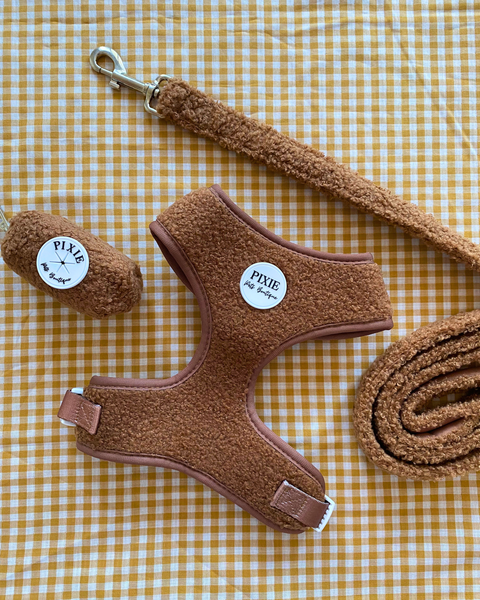 Teddy: Dog Leash