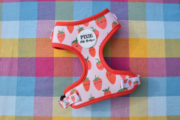 Dog and cat harness with strawberry pattern on a colorful checkered background