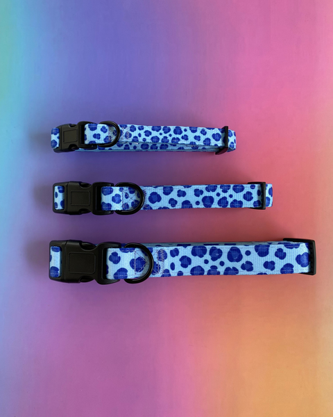 Three blue and white patterned dog collars with black hardware on a gradient background.