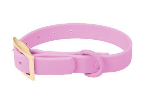 Waterproof Dog Collar: Bubble Gum