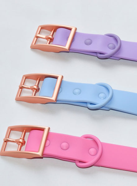 Waterproof Dog Collar: Sky Blue